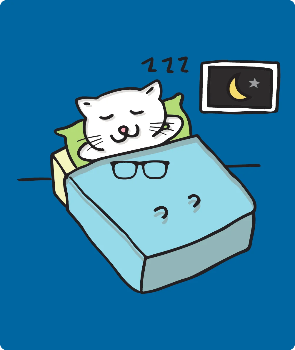 8Bit the Cat asleep at the keyboard after an overnight fix